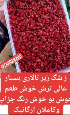 محصول نمونه 3