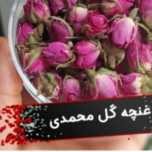 محصول نمونه 6