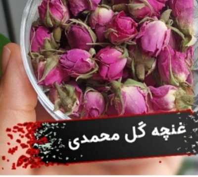 محصول نمونه 6